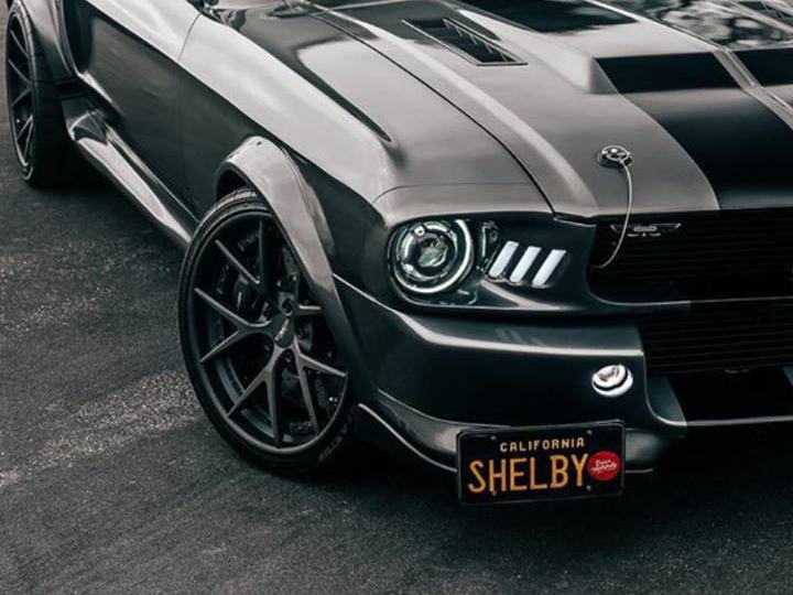 Machiline Types set of 4